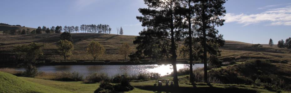 Falcon_dam 2